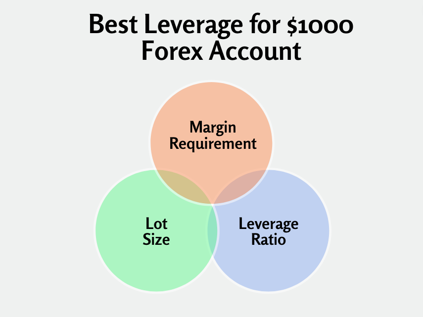 Best leverage for $1000 explained